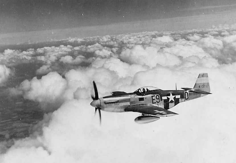 361st_FG_376th_FS_P-51D_Mustang_44-13717_E9-D.jpg