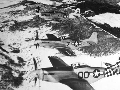 North American P-51D 325th Fighter Group