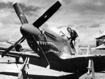 P-51 Mustang of the 26th FS 51st Fighter Group Pilot Col David „Tex” Hill