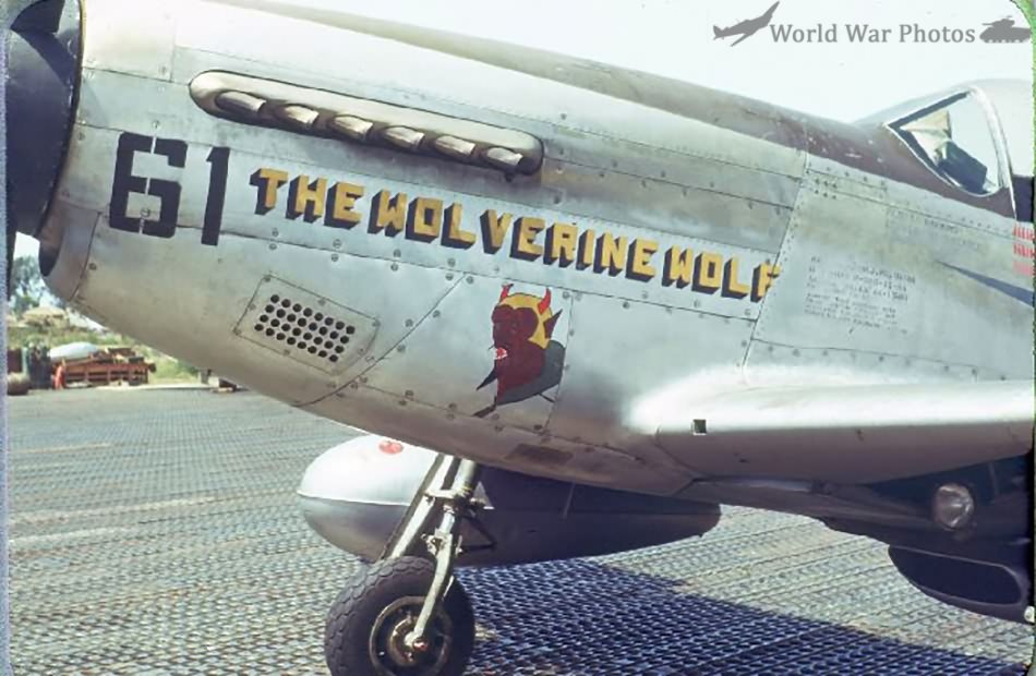 P-51D 44-15413 The Wolverine Wolf 2nd FS 2nd ACG