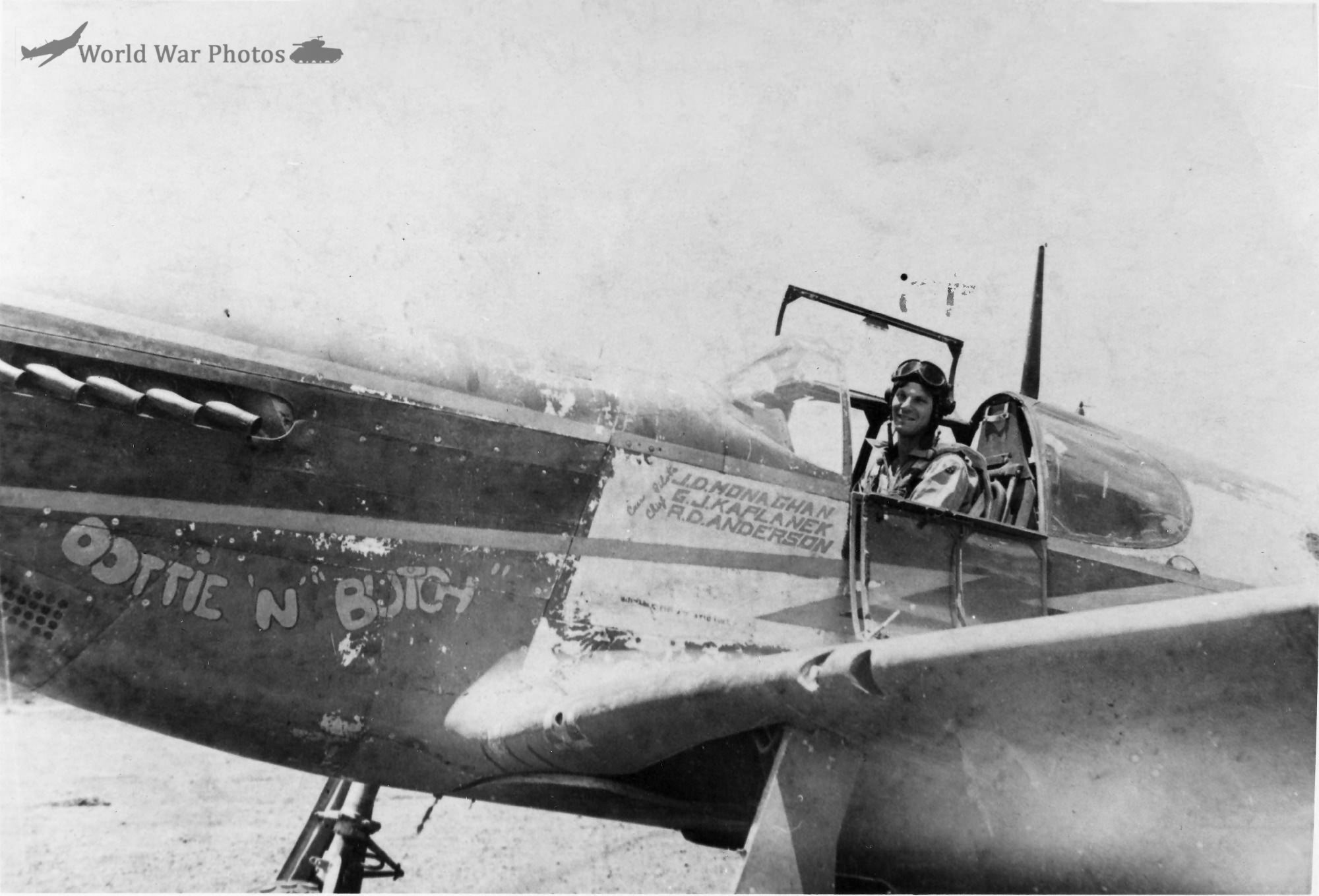 P-51 Mustang 118th TRS 2
