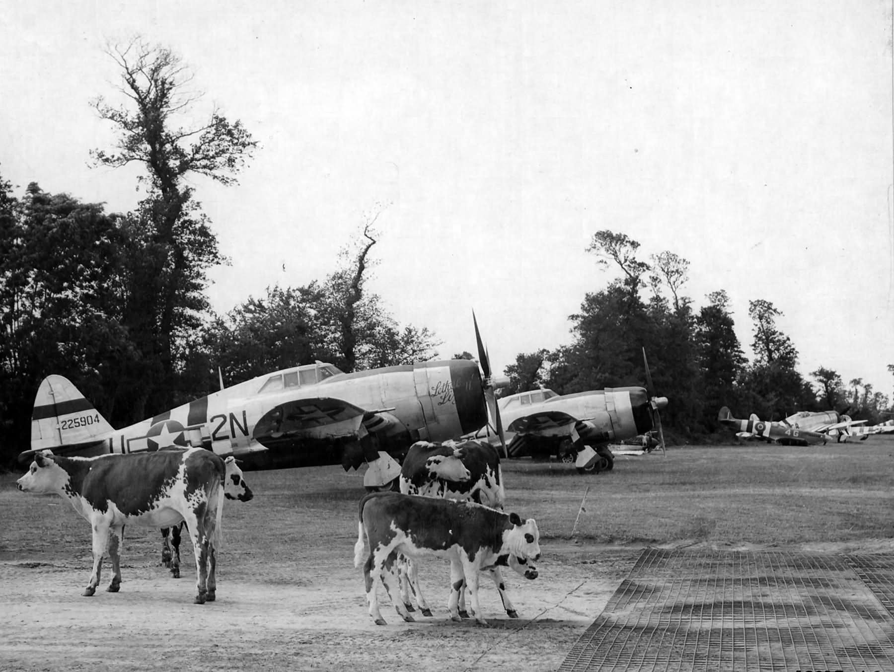 P-47D Thunderbolt 42-25904 of the 81st FS, 50th Fighter Group