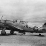 P-47 Thunderbolt black 75 42-27419 of the 80th FG, 90th Fighter Squadron, 10th AF Burma 1944