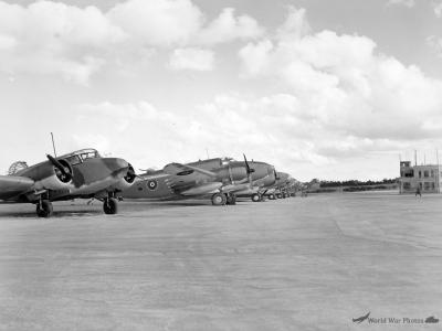Venturas Oxford at RNZAF Station Whenuapai 1943