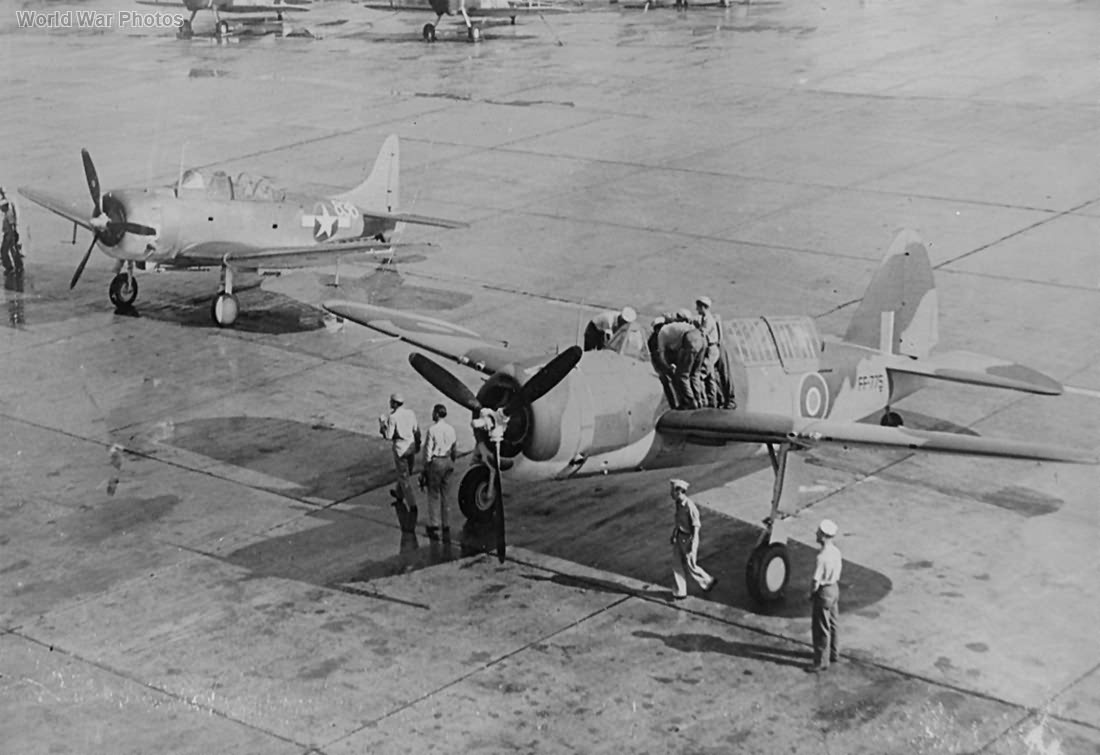 Brewster Bermuda FF775 and SBD