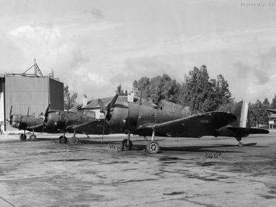 Douglas A-24