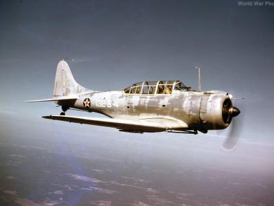 SBD-1 color photo