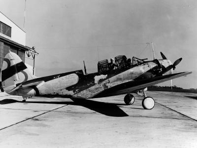 TBD is painted in McClelland Barclay experimental camouflage design number 8