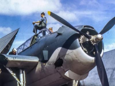 TBF-1 Avenger in color ’44