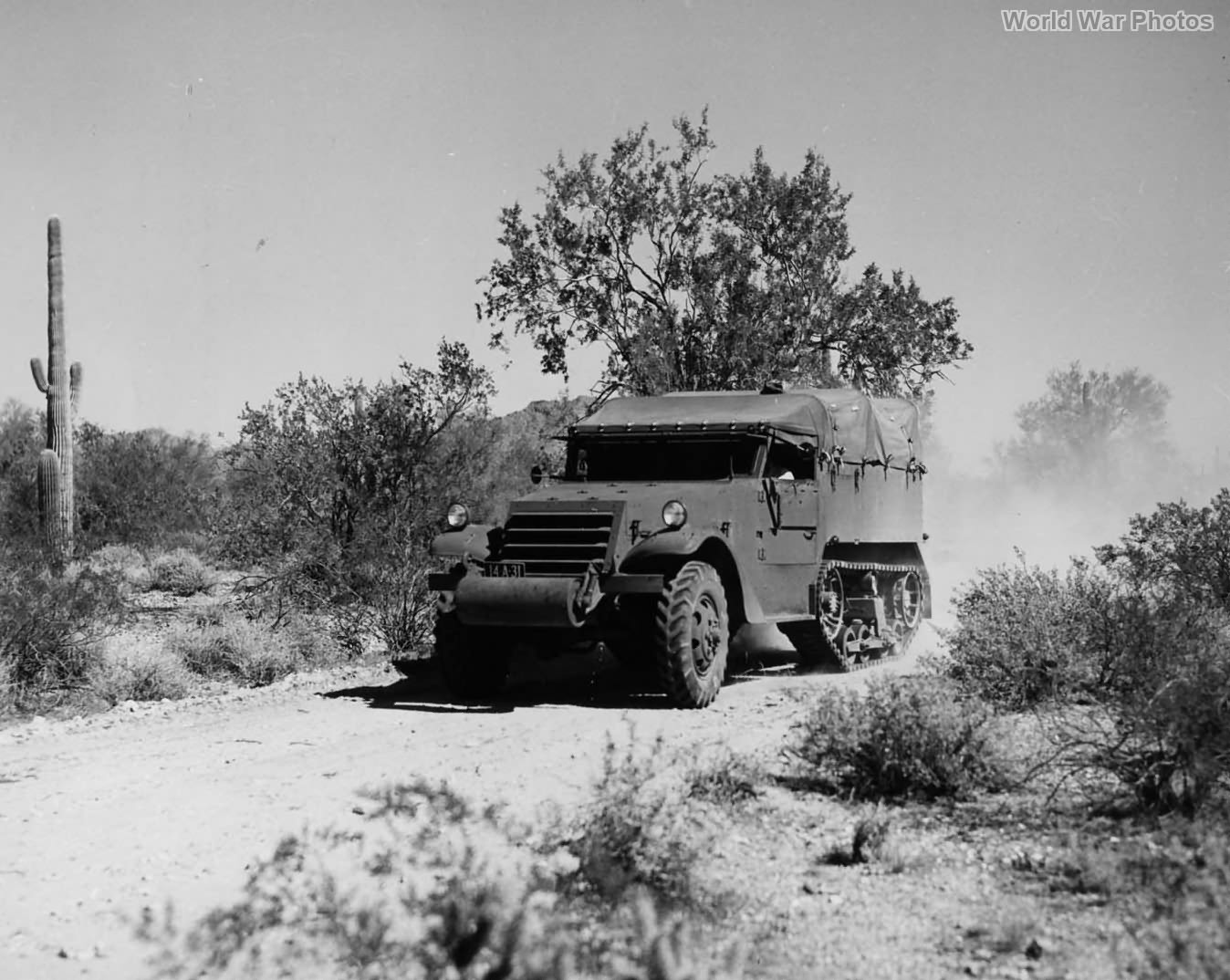 M2 halftrack in the desert