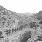 m3 halftrack 51