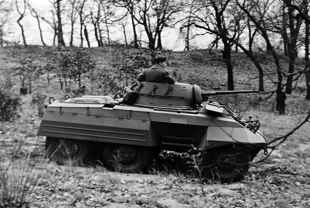 M8 Greyhound Armored Car in field trials 6