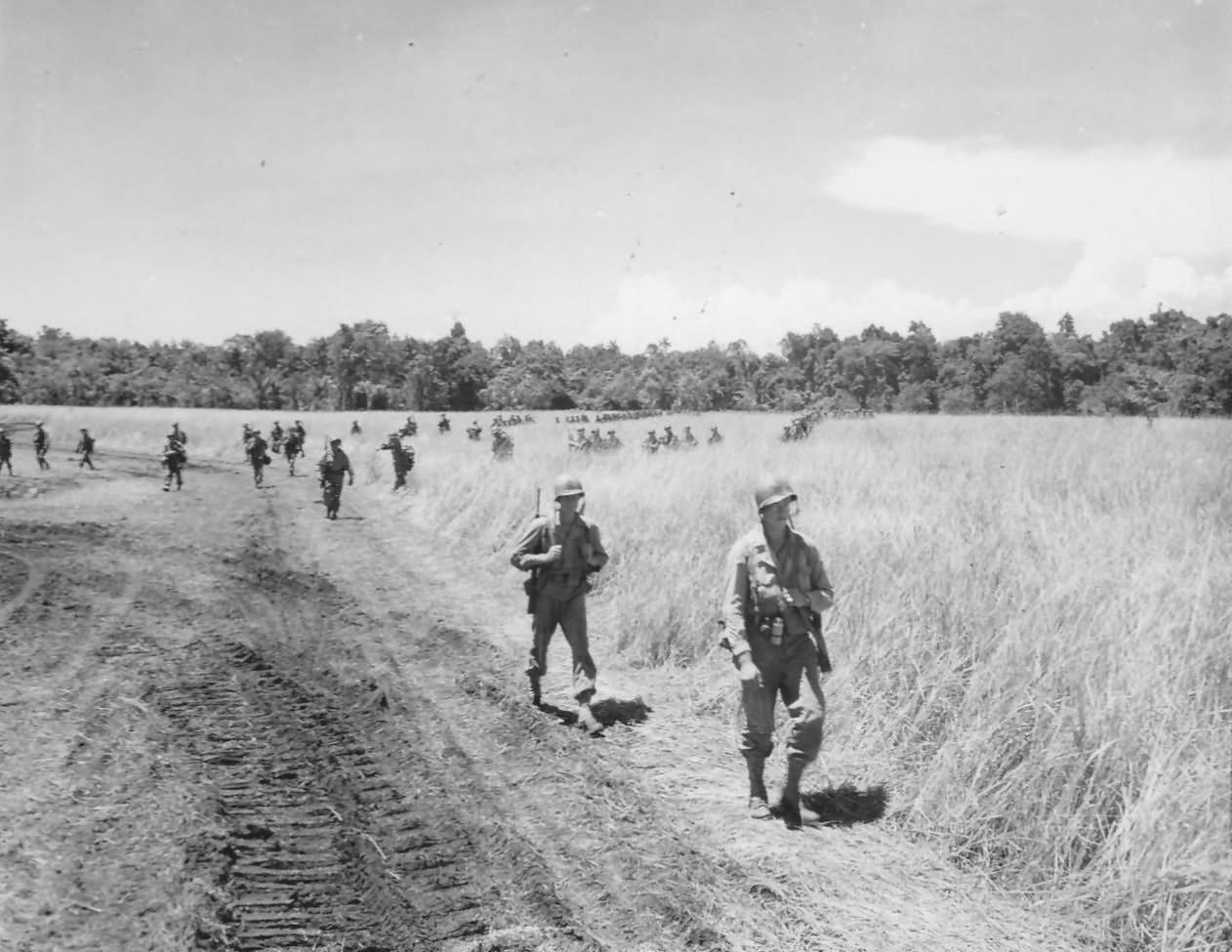 41st Division Soldiers Advances In Jungle Of Biak 1944