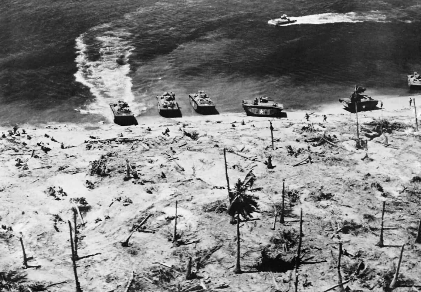 LVT(A)-1 Alligator amphibious come ashore on Eniwetok