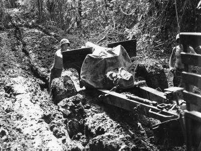 Marines move 105mm howitzer thru mud on Cape Gloucester