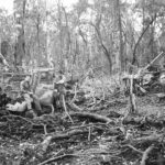 Marines with wrecked Japanese equipment on Cape Gloucester