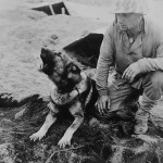 Dog and soldier Iwo Jima