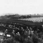 5th Division Marines bury fallen comrades on Iwo Jima