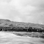 First waves pinned on Iwo Jima Beach 19 February 1945