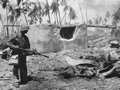 Soldier with flamethrower views fallen soldiers on Namur