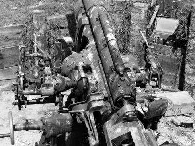 Captured Japanese naval anti-aircraft gun Type 3 – Makin Atoll