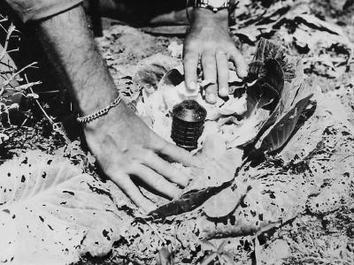 Cabbage Booby Trapped with Type 97 grenade by Japanese on Okinawa