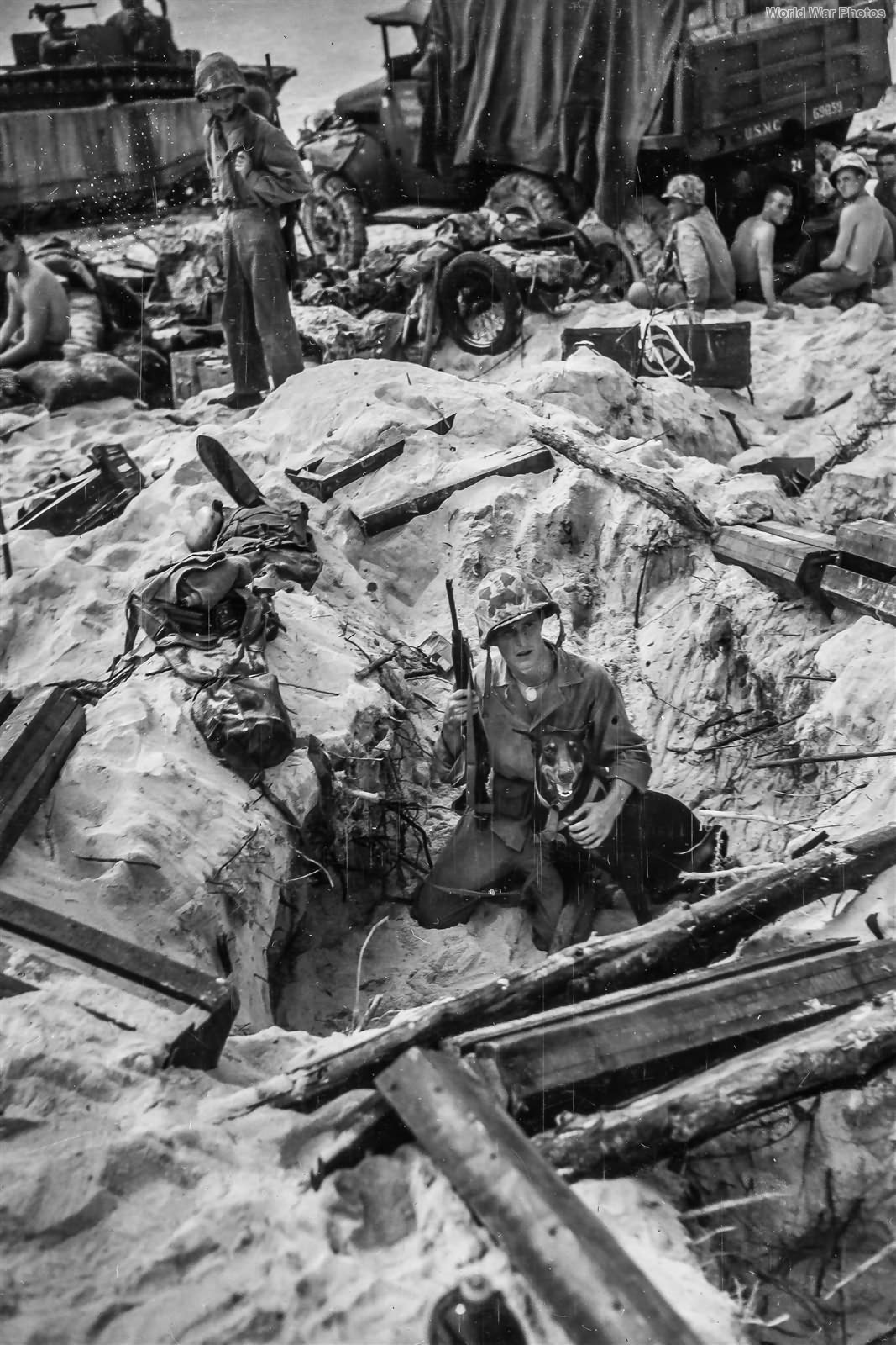 1st Marine Division War Dog and Handler Peleliu