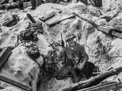 1st Marine Division War Dog and Handler Peleliu