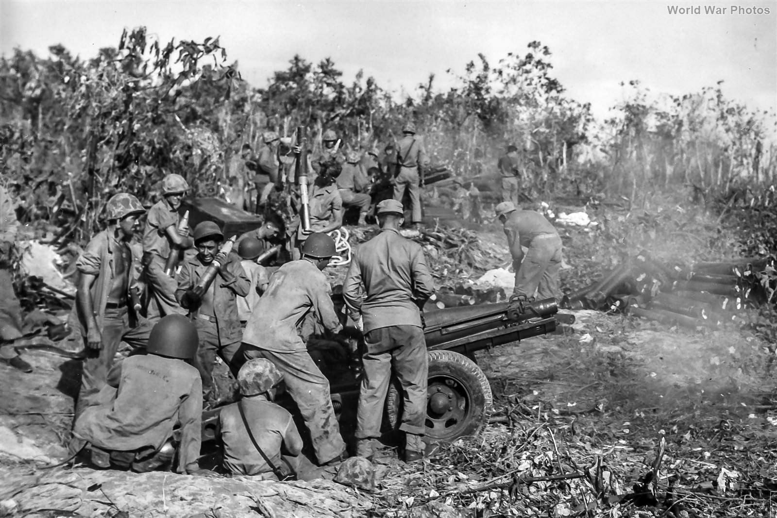 1st Marine Division pack 75mm howitzer crew in action