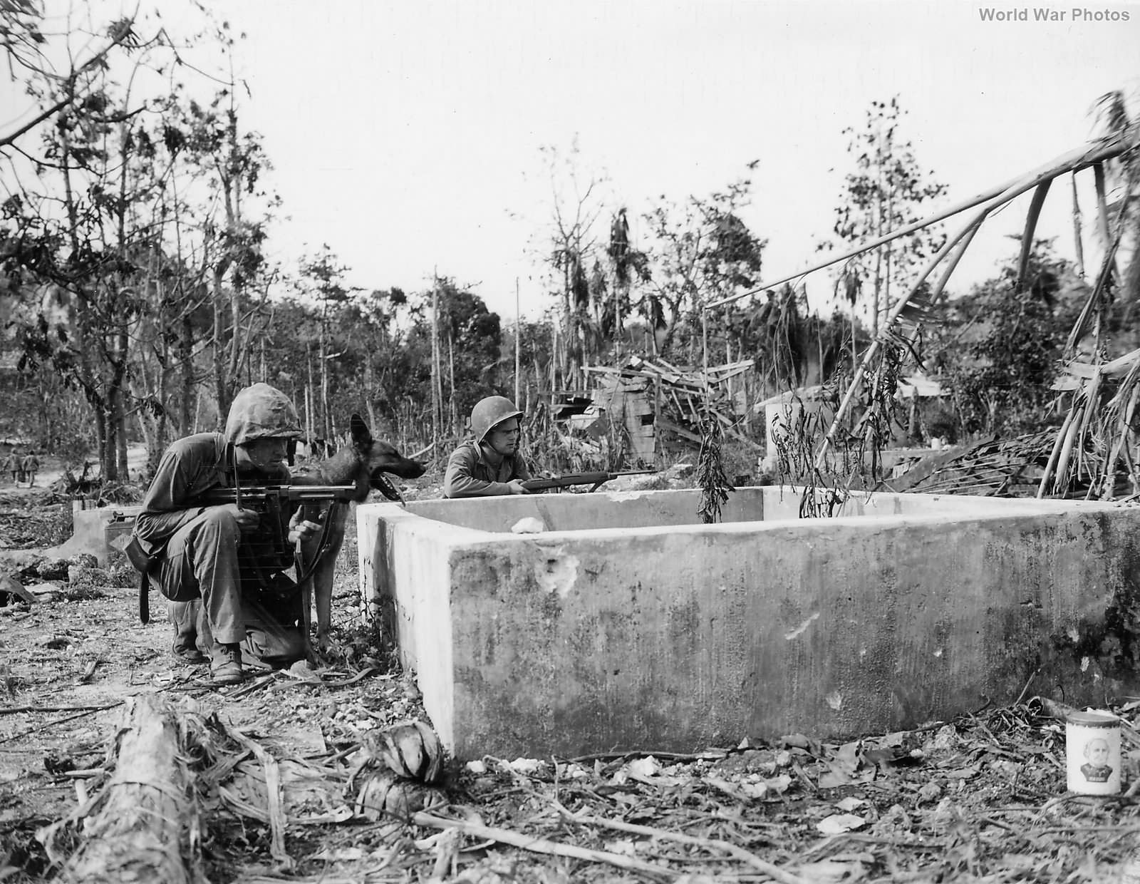 1st Marine War Dog and Thompson SMG Armed Marine Peleliu