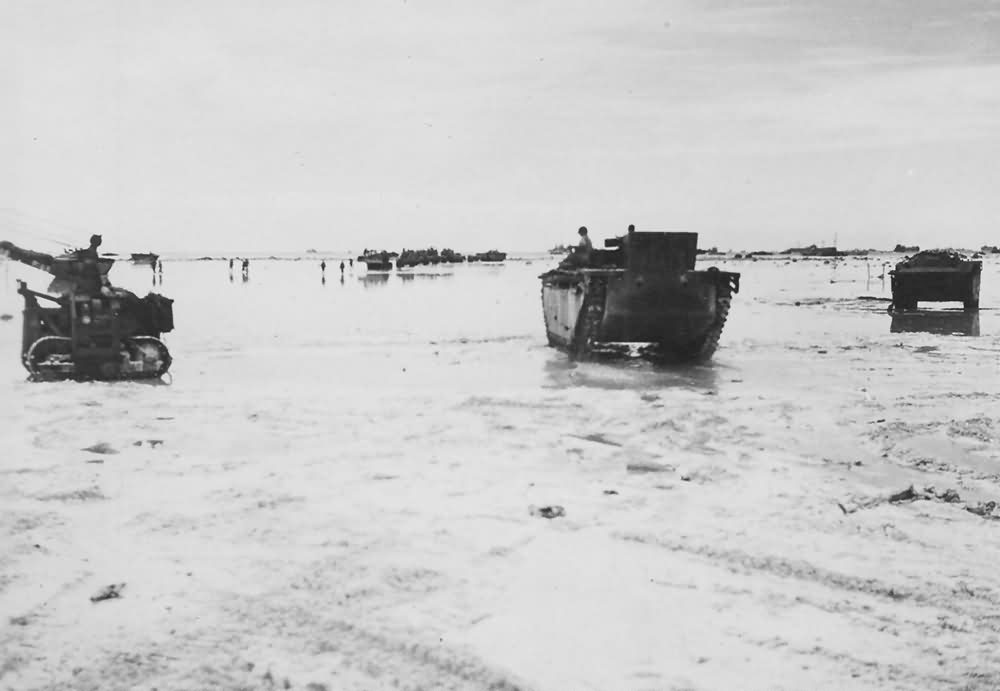 Marine Amtracs Landing On Beach Of Peleliu