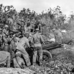 1st Marine Division pack 75mm howitzer crew in action