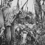 Marines on Peleliu Evacuate Comrade Wounded by Sniper Fire
