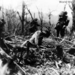 25th Division troops pass Japanese soldier impaled on tree Luzon 1945