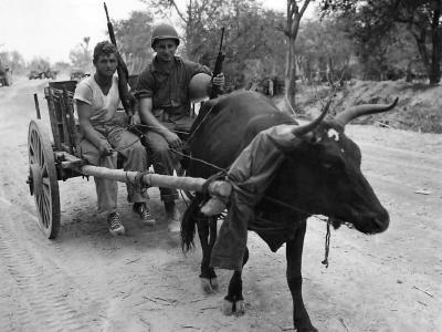 Troops Use Ox Cart to Carry Supplies to Front on Saipan