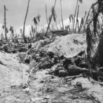 Bodies of fallen Japanese soldiers in gully on Tarawa
