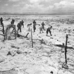 Marines march Japanese prisoners along Tarawa Beach