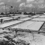 White crosses mark graves in largest US Cemetery on Tarawa 44