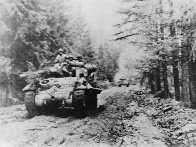 M10 Wolverine Moving Thru Hurtgen Forest 893rd Tank Destroyer Battalion