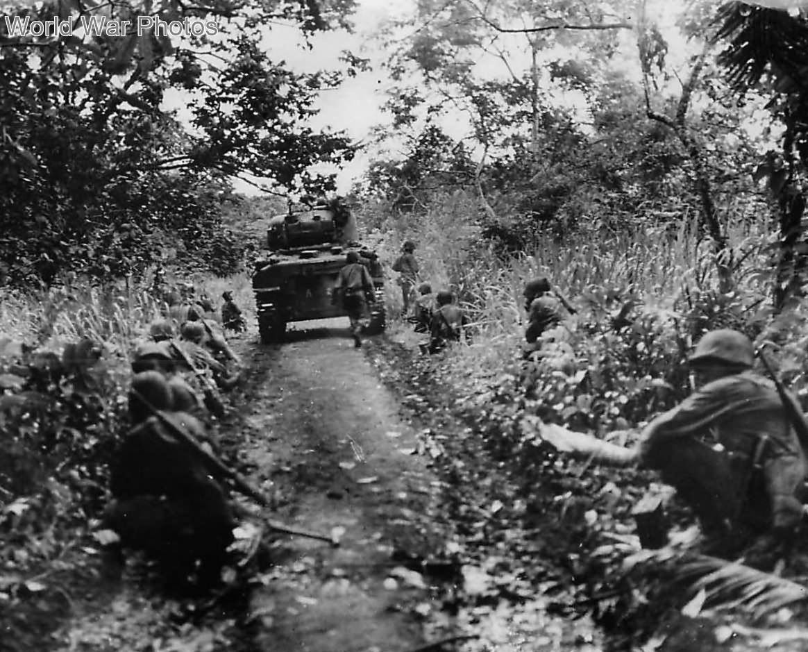 Marines and 1st Tank Battalion M4 Sherman advancing on Cape Gloucester 1944