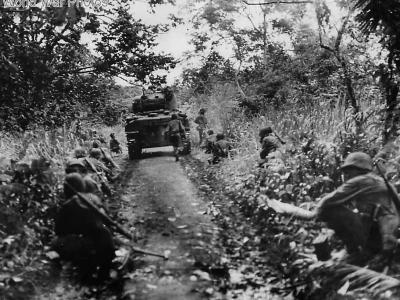 Marines and 1st Tank Battalion M4 Sherman advancing on Cape Gloucester 1944