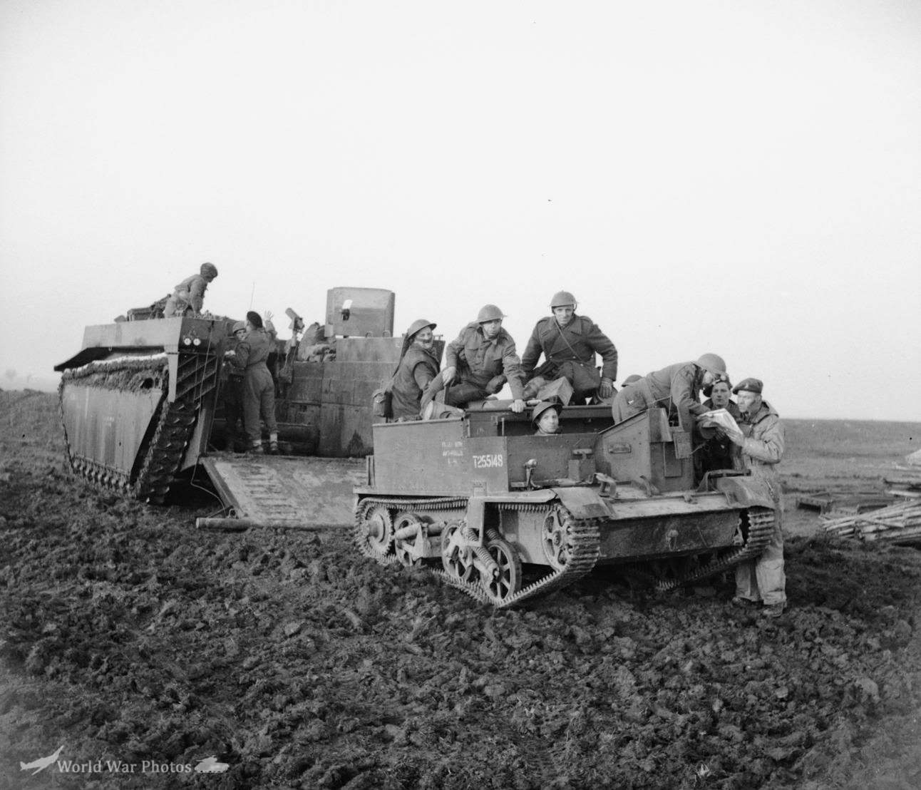 Buffalo during the Rhine crossing