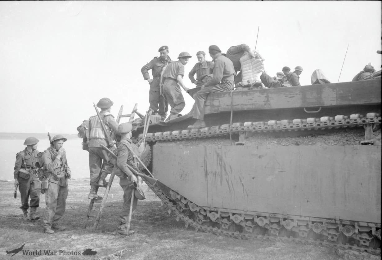 Buffalo during the Rhine crossing