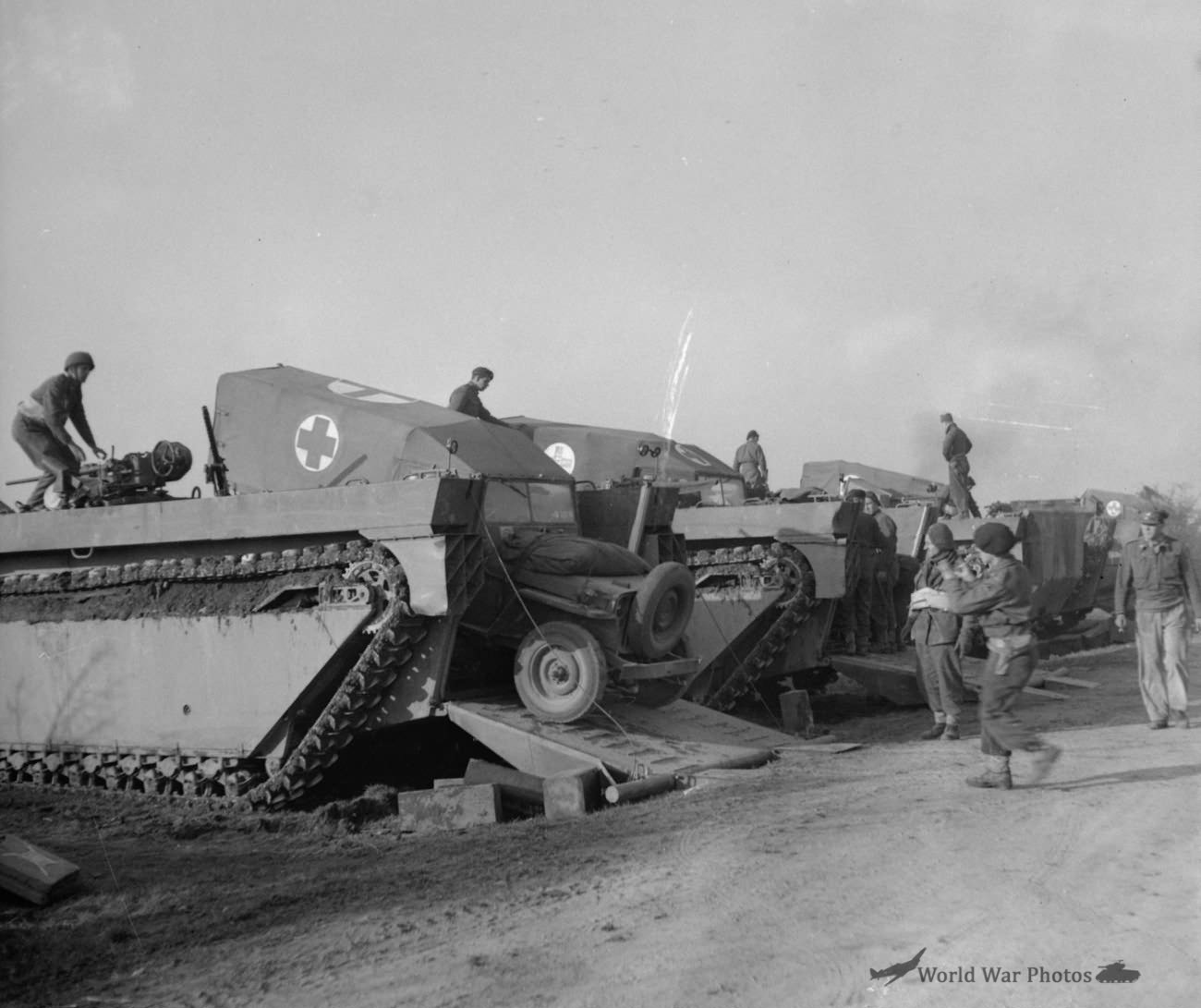 Buffalo during the Rhine crossing