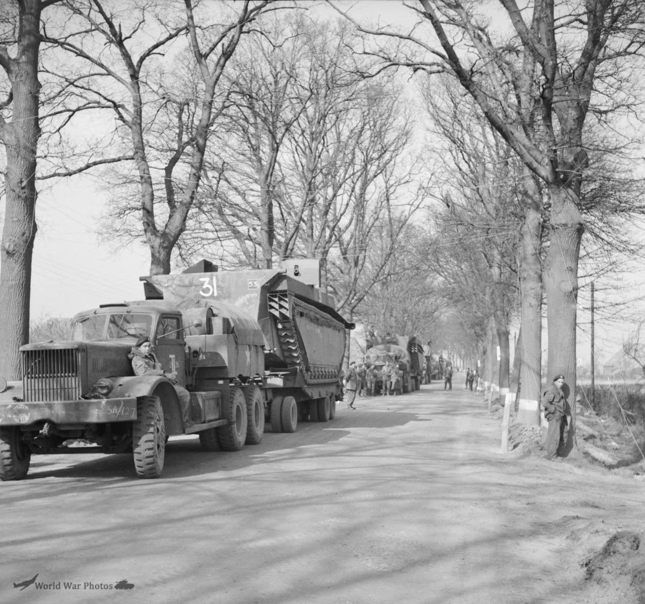 Buffalo during the Rhine crossing