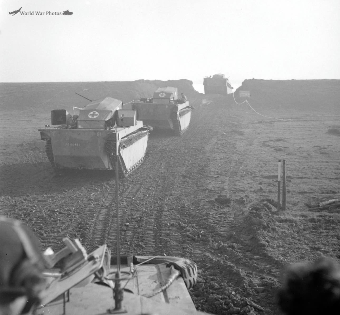 Buffalo during the Rhine crossing