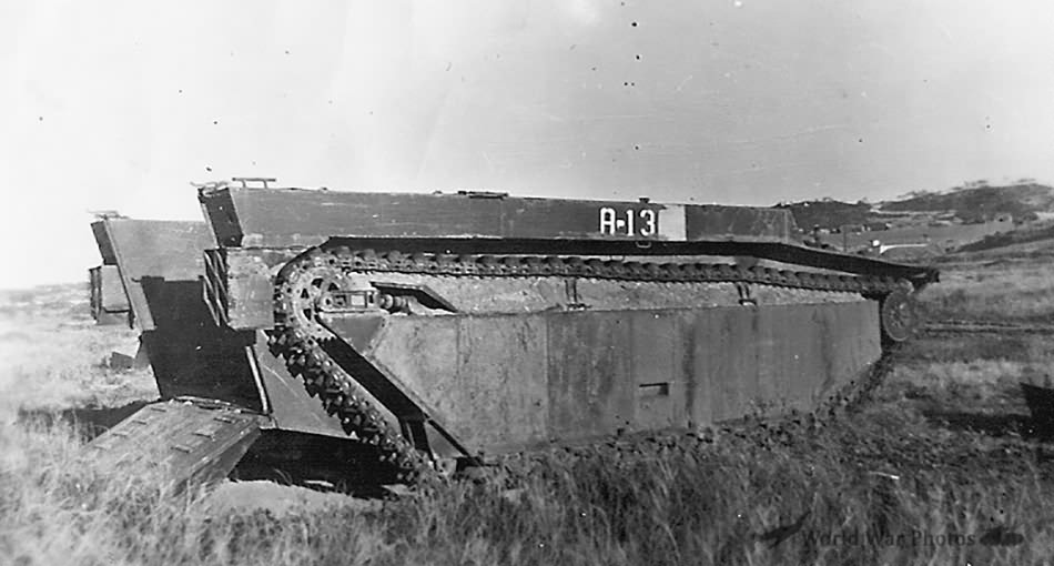 LVT Amphibious in Field