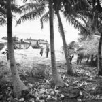 81st Division Troops and LVTs Landing on Mogmog Beach Ulithi