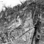 Amphibious tractors go to work on the caves Peleliu