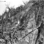 Amphibious tractors go to work on the caves Peleliu